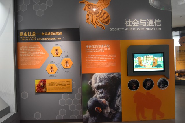 多样化的沟通手段.jpg
