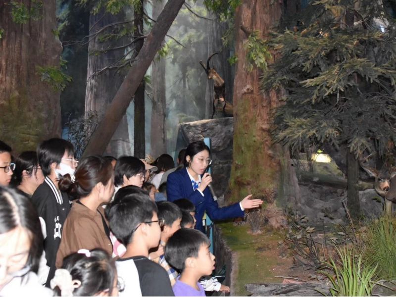 图片3.jpg