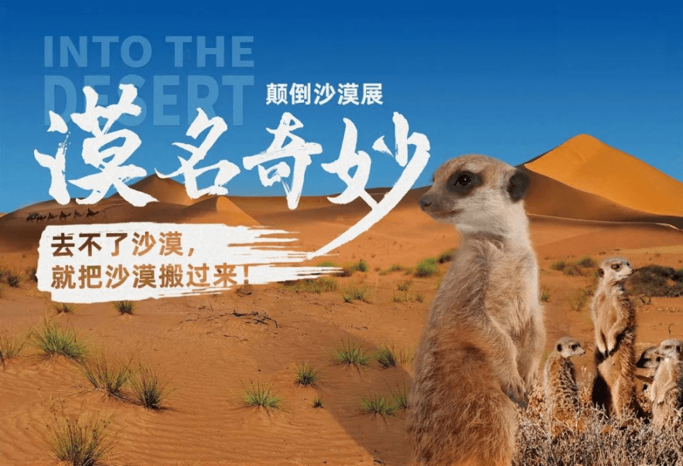 微信图片_20250409153305.png