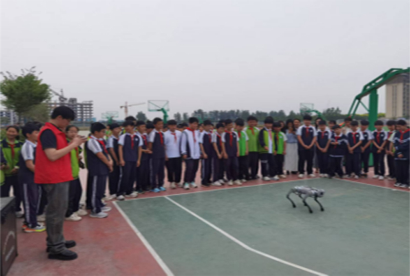 图片33.jpg