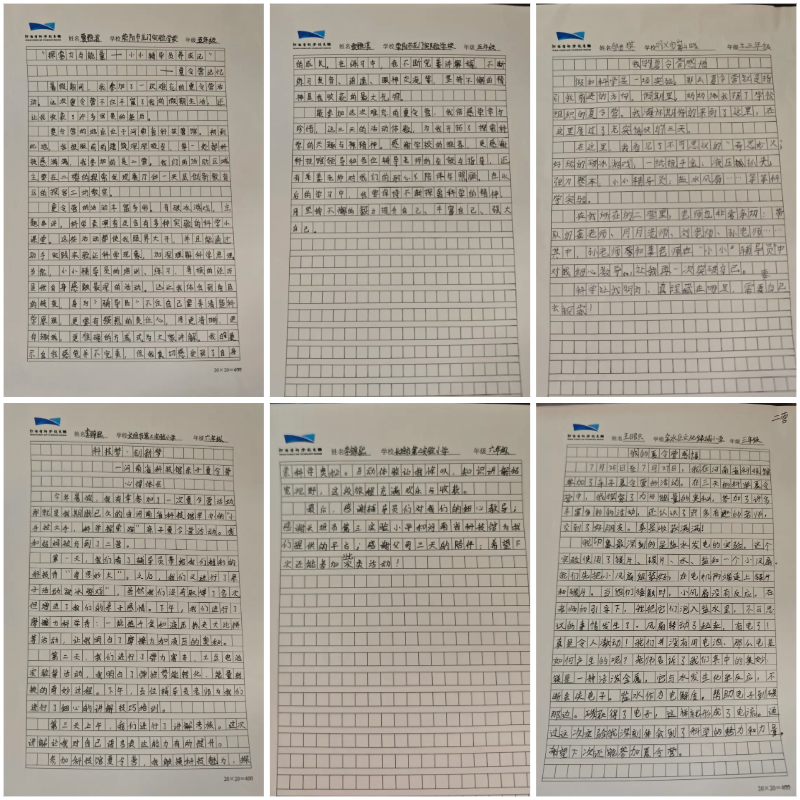 网站3.jpg