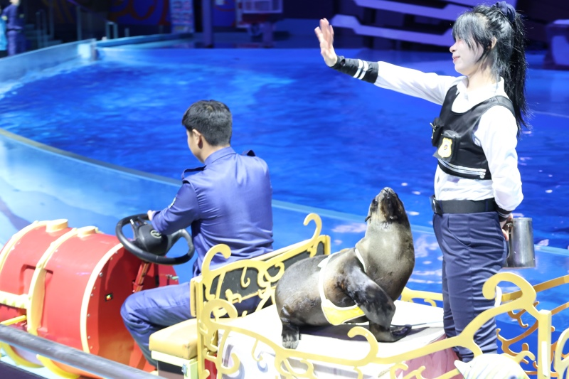 图片5.png 图片5.png