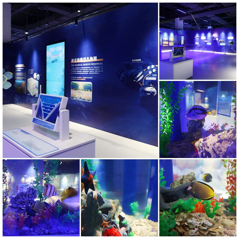 WPS拼图3.jpg WPS拼图3.jpg