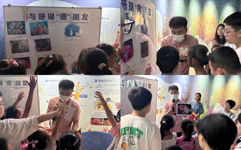 wz图片6.jpg