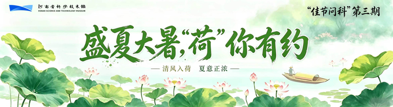 wz图片1.jpg