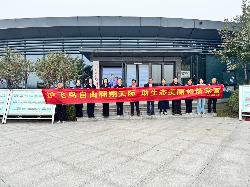 图片 15.jpg